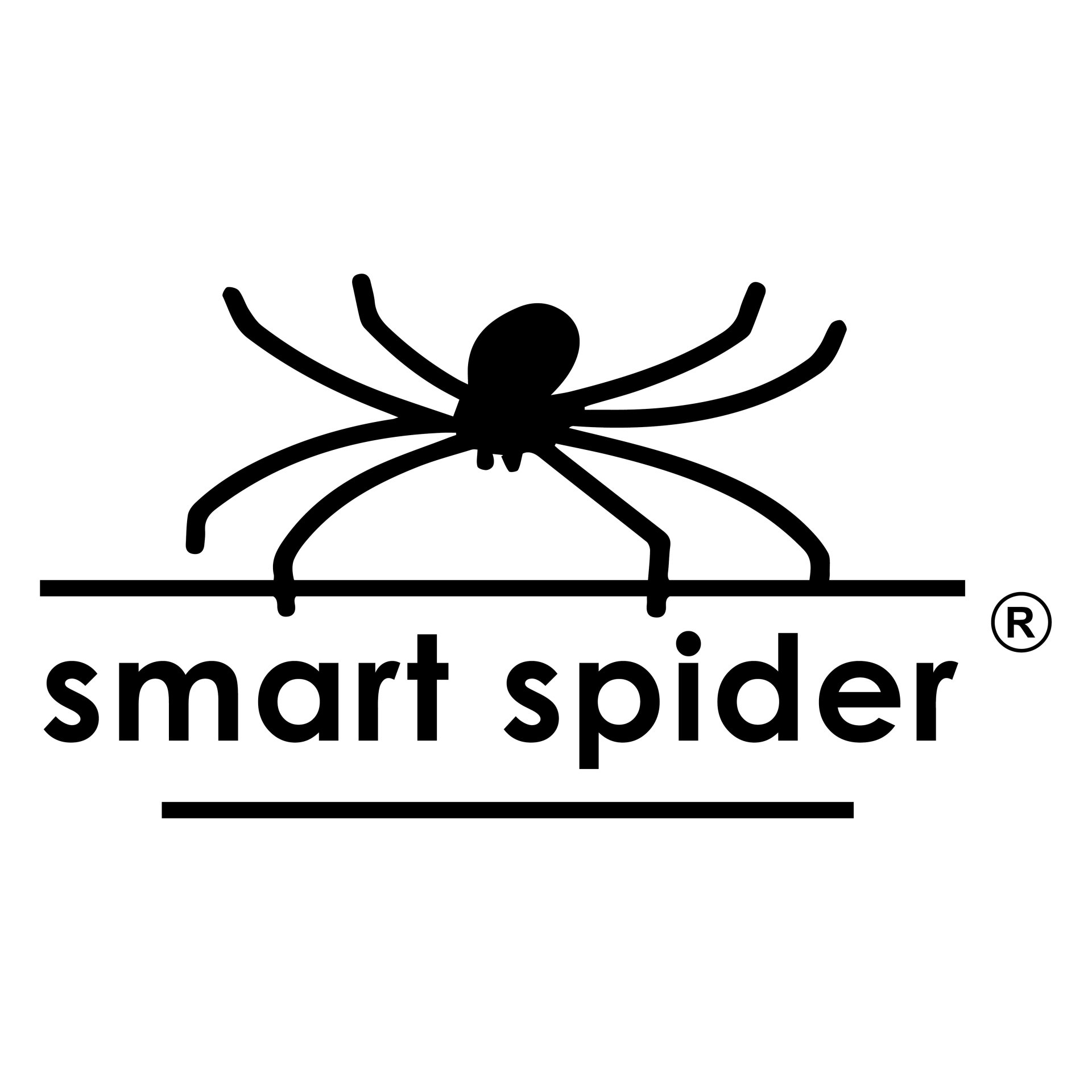 Smart Spider